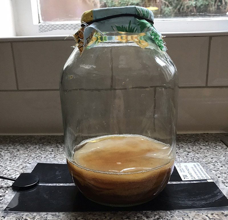 Kombucha temperature deals control