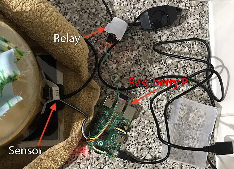 Kombucha temperature controller